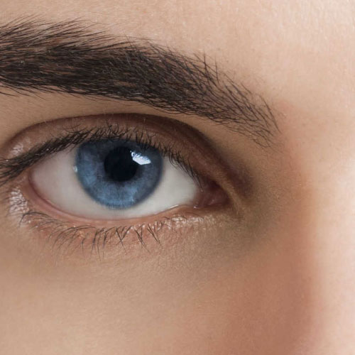 LIGTH EYES